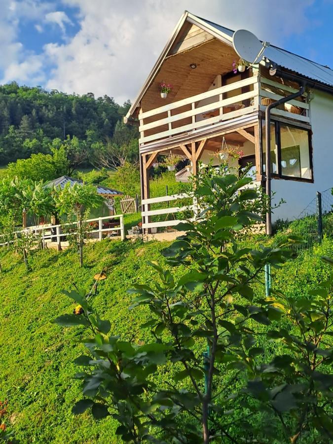 Natural House Високо Екстериор снимка
