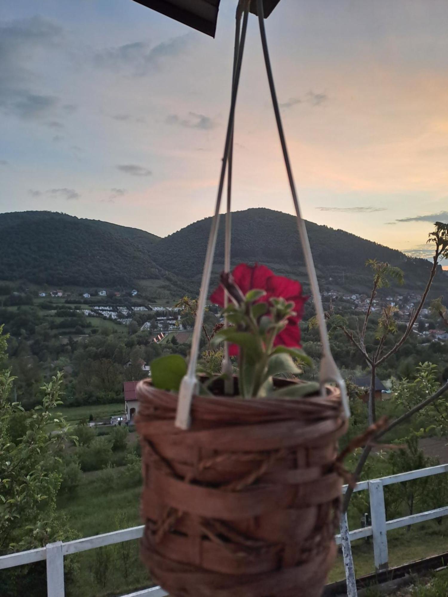 Natural House Високо Стая снимка